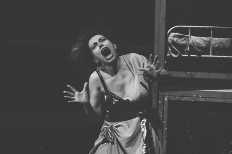 Tömöry Péter (r.), Tolnai Ottó: Paripacitrom 