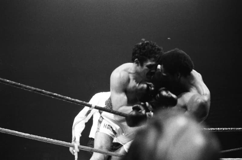 Ökölvívás Milánóban /Miguel Angel Cuello - Mate Parlov/