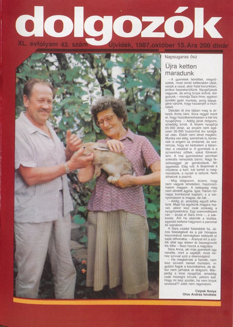 Dolgozók, 41. évf. 1987. október 15. 42. sz.