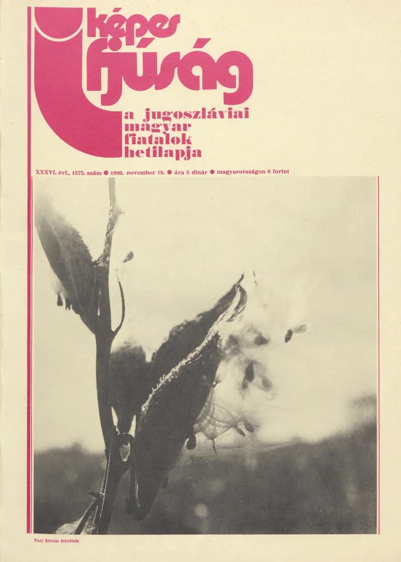 Képes Ifjúság, 36. évf. 1980. november 19. 1575. sz.