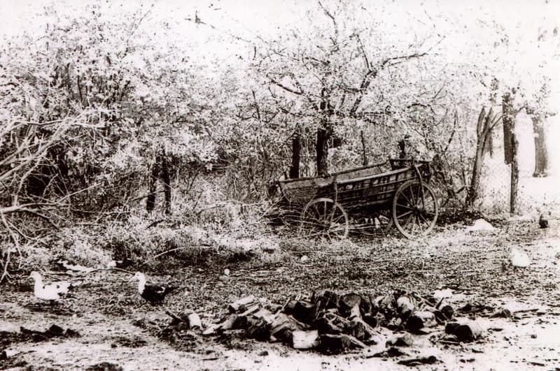 Temerini udvar öreg szekérrel