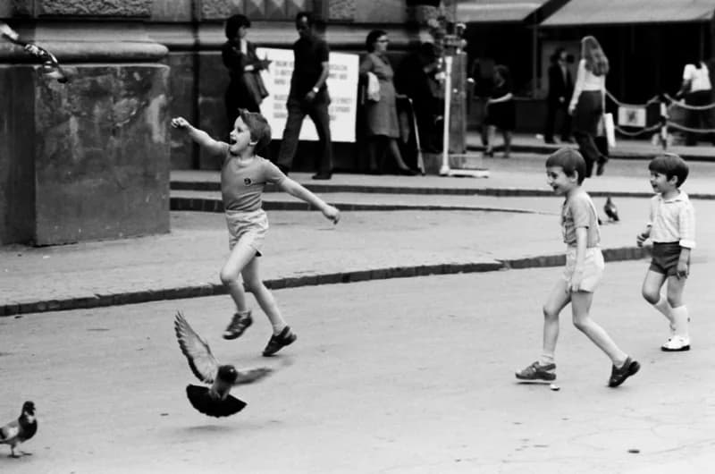 Gyerekek Újvidék utcáin