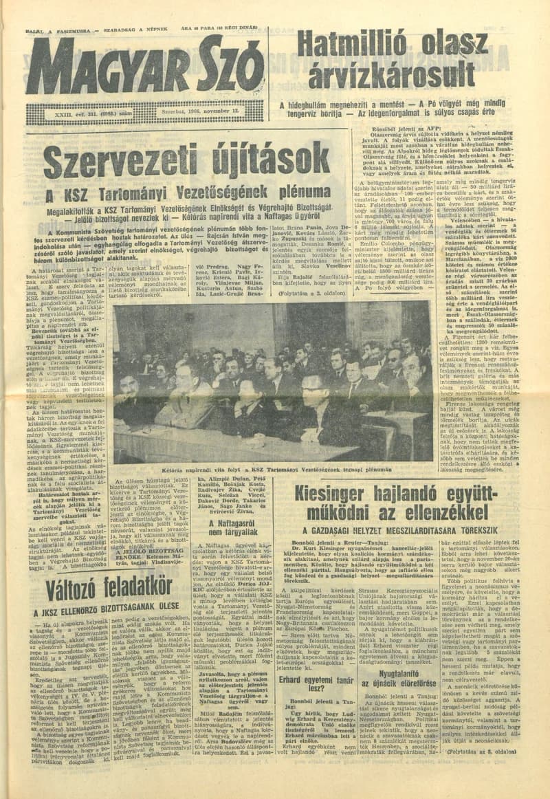 Magyar Szó, 23. évf. 1966. november 12. 311. sz.