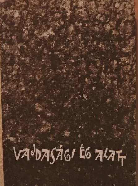 A vajdasági ég alatt