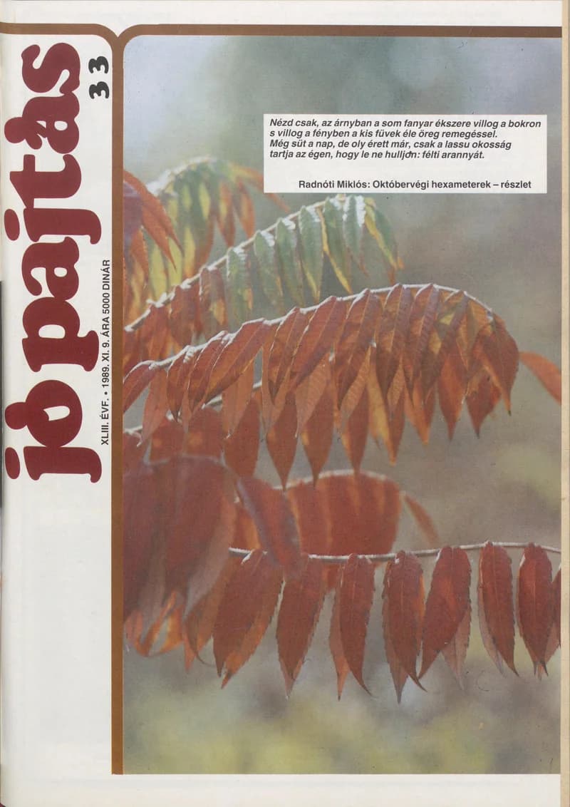 Jó Pajtás, 43. évf. 1989. november 9. 33. sz.