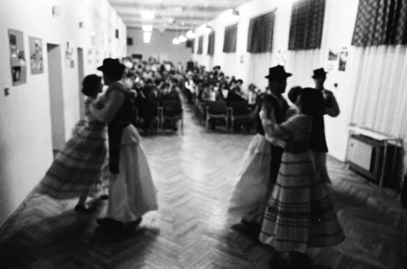 Jugoszláviai egyetemi hallgatók