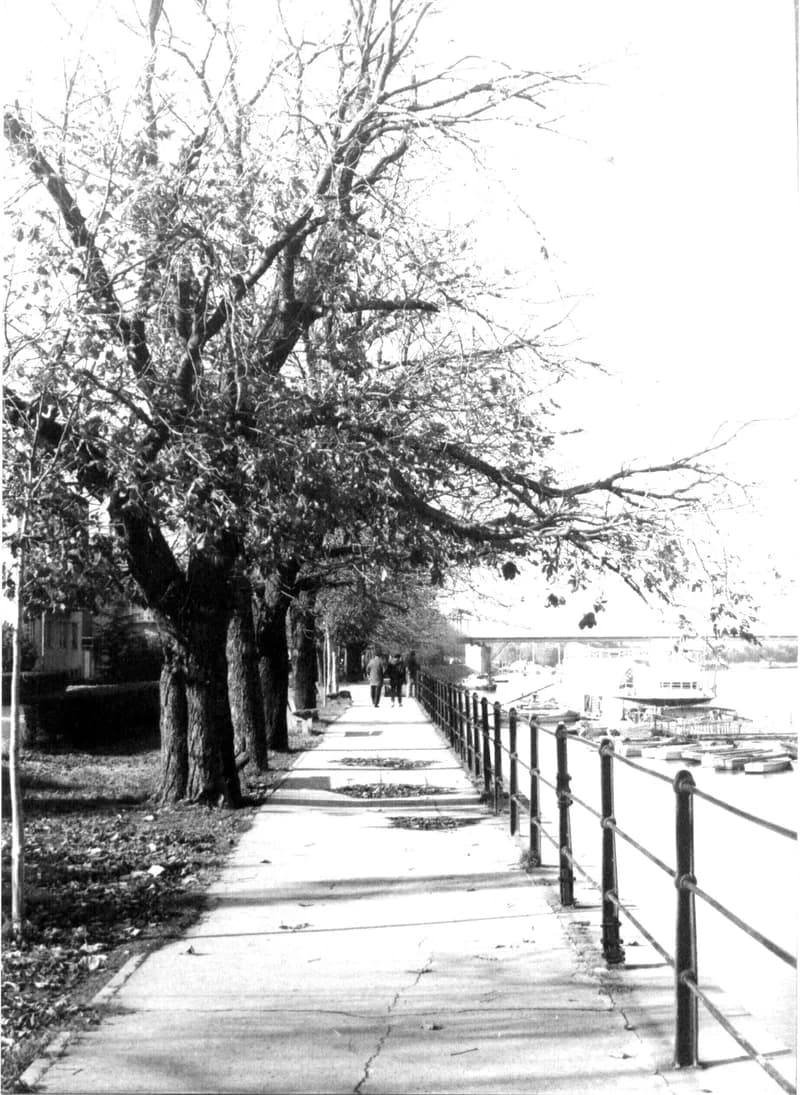 A zentai Tisza-parti sétány