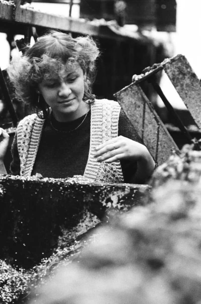 Vitamin Paprikagyár