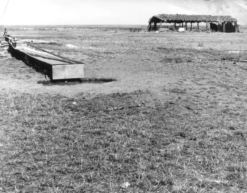 Birkaól és gémeskút Zenta környékén