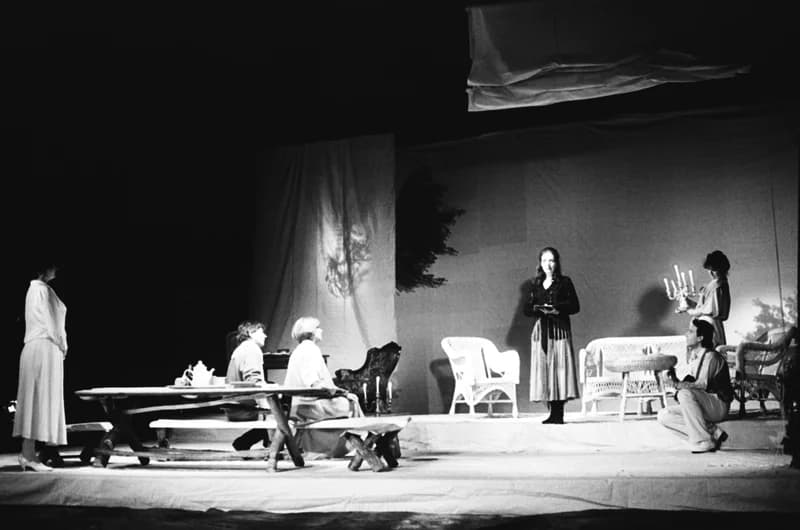 A Vajdasági Színházak Szemléje