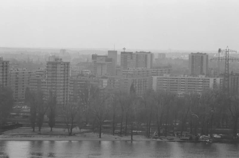 Újvidék, Liman városnegyed