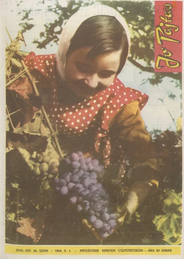 Jó Pajtás, 18. évf. 1964. október 1. 26. sz.