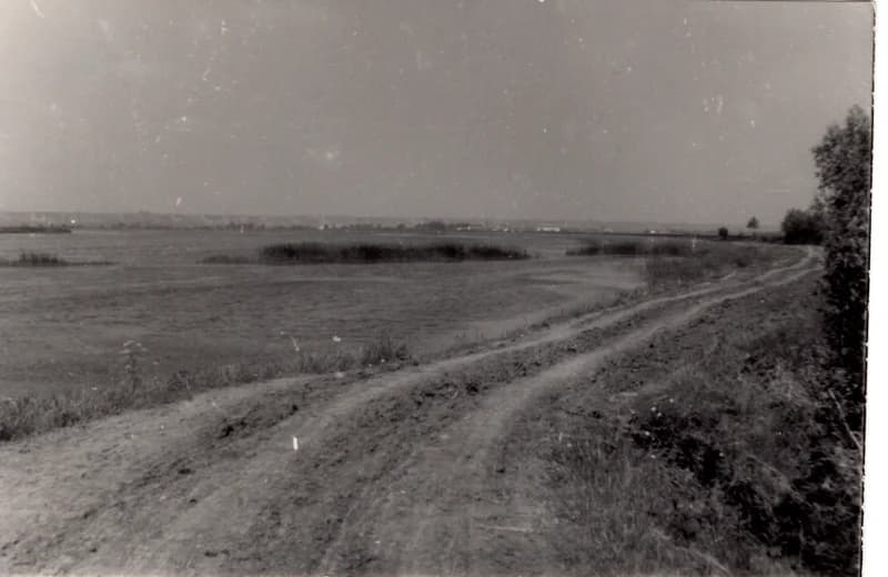 Tóvédelmi töltés