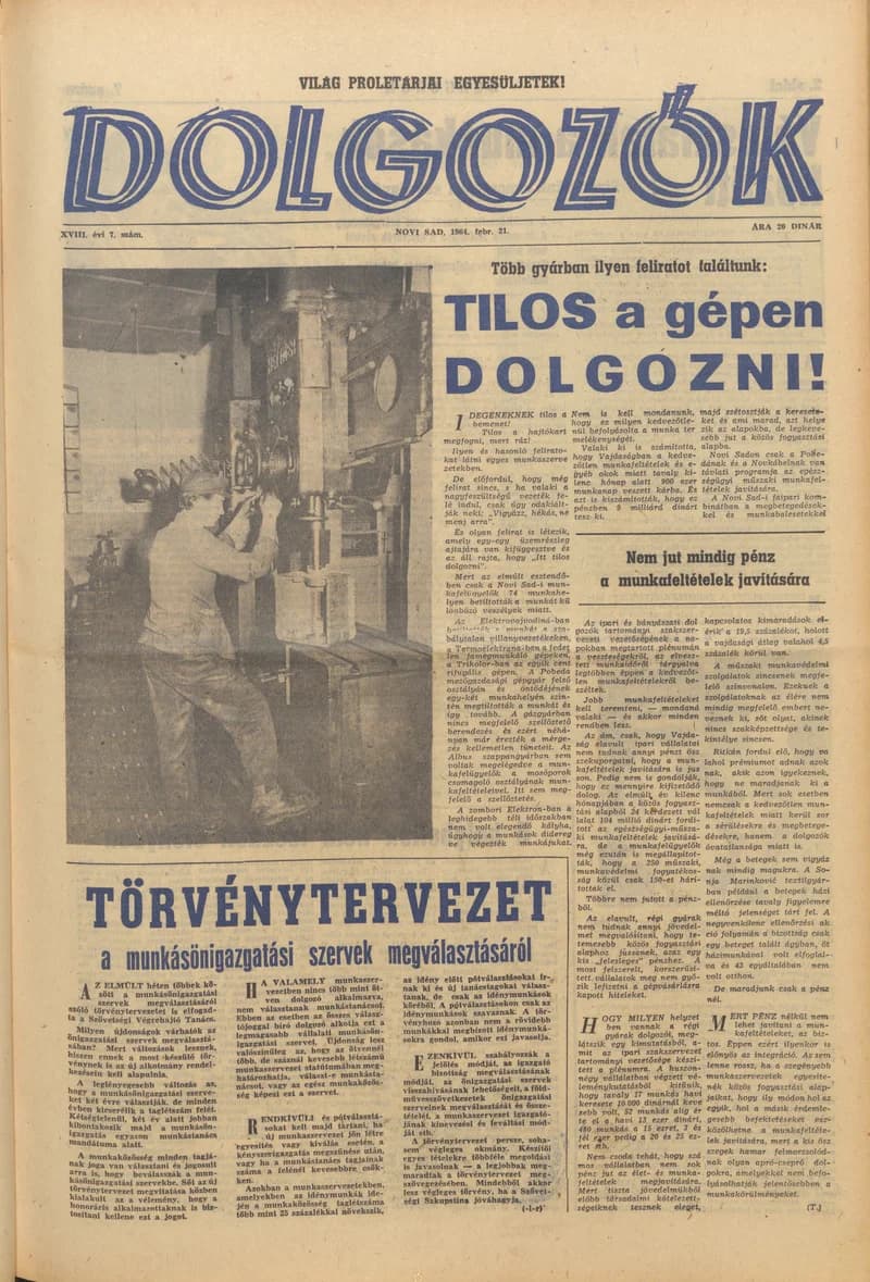 Dolgozók, 18. évf. 1964. február 21. 7. sz.