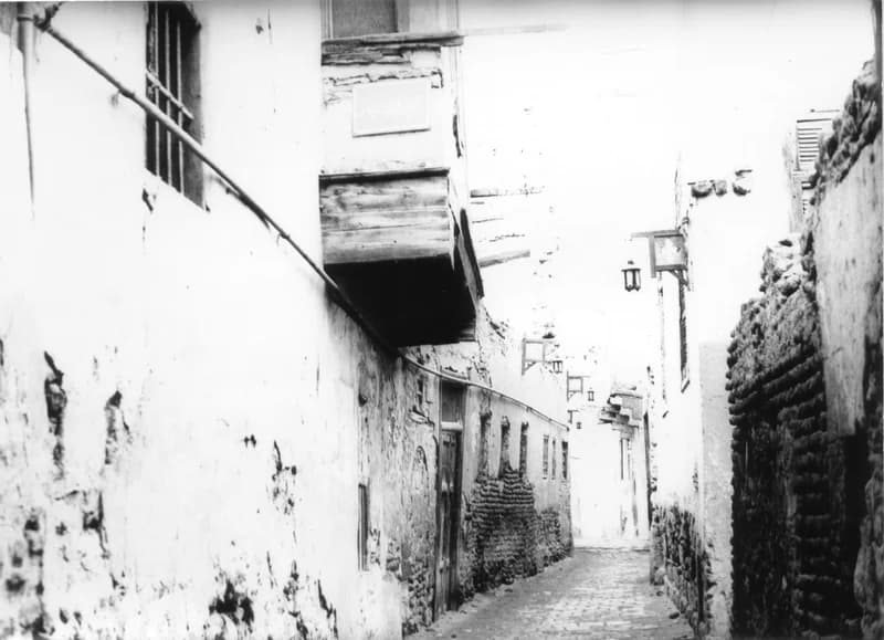 A Fehér család Egyiptomban