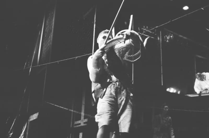 Tömöry Péter (r.), Tolnai Ottó: Paripacitrom 