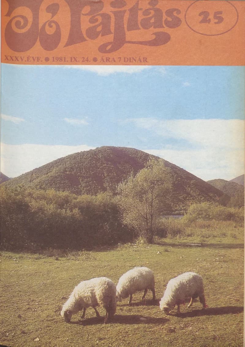 Jó Pajtás, 35. évf. 1981. szeptember 24. 25. sz.