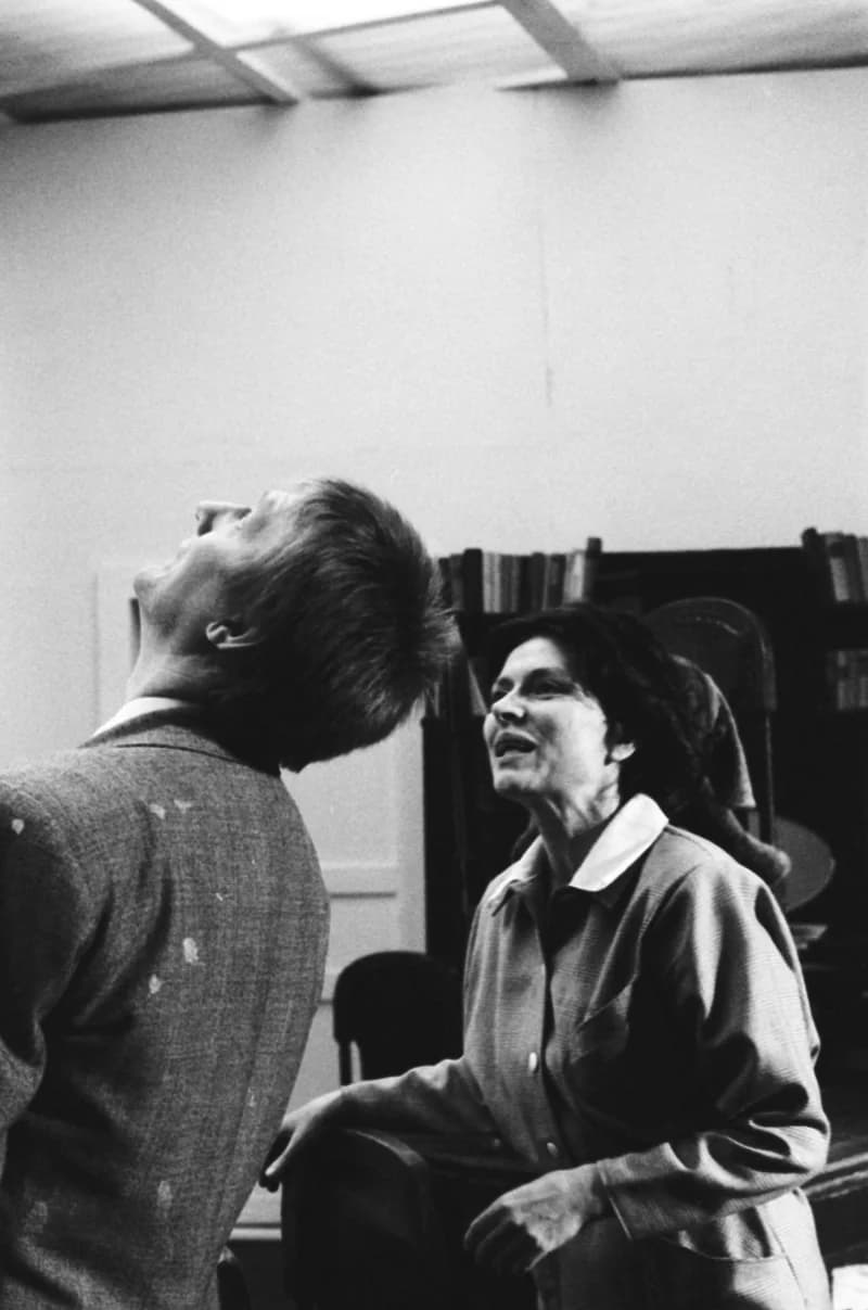 Henrik Ibsen : A hazaáruló