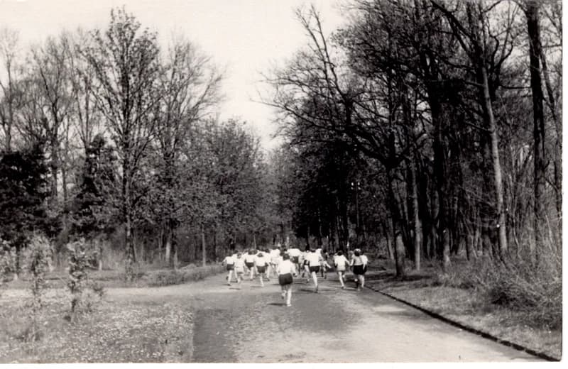 Iskolások mezei futóversenye a Népkertben