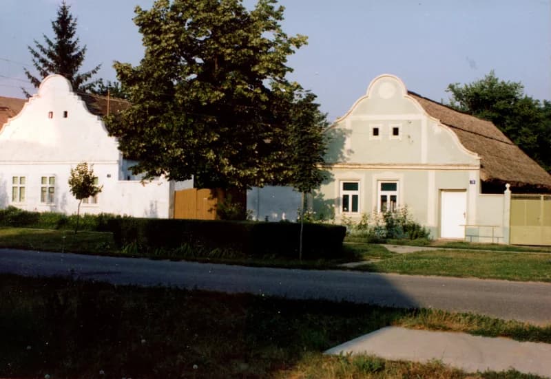 Temerini házak a Kastély utcában