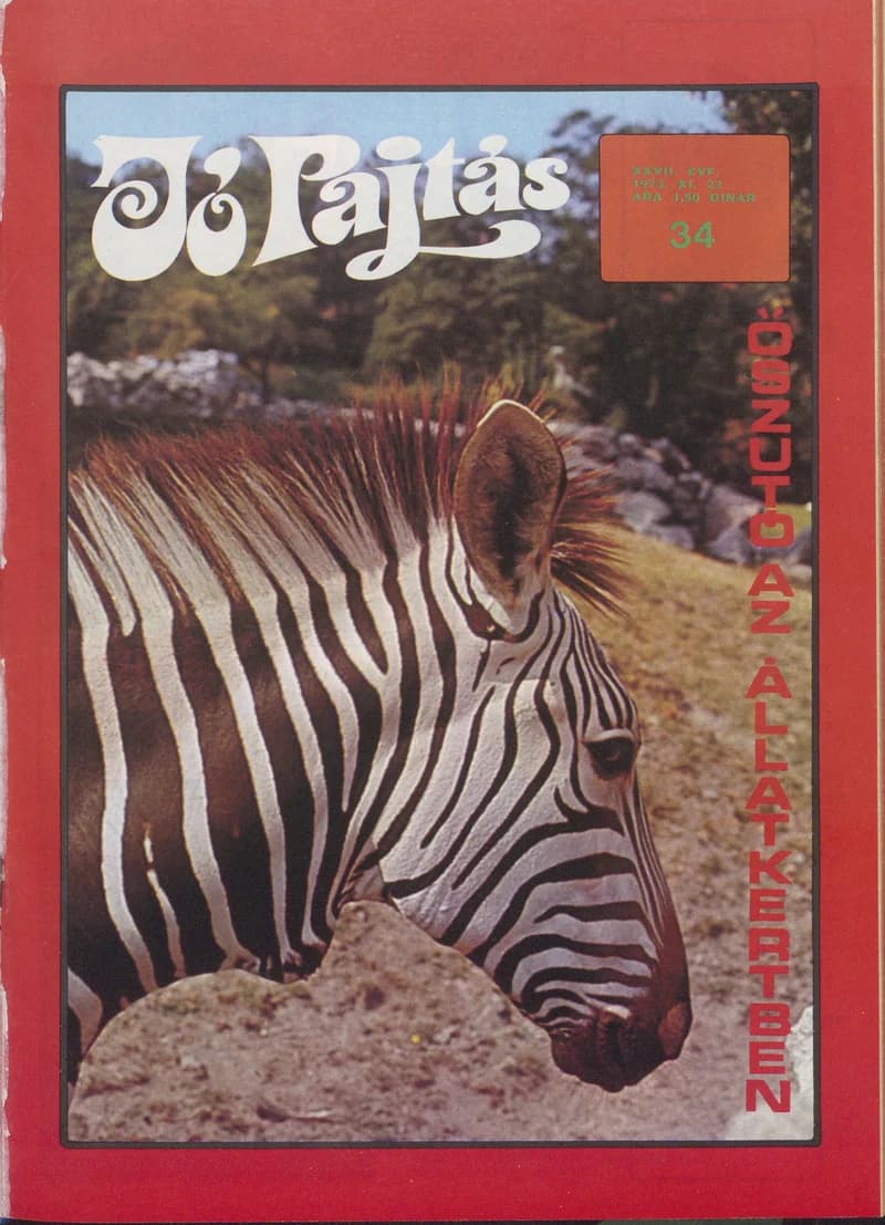 Jó Pajtás, 27. évf. 1973. november 22. 34. sz.