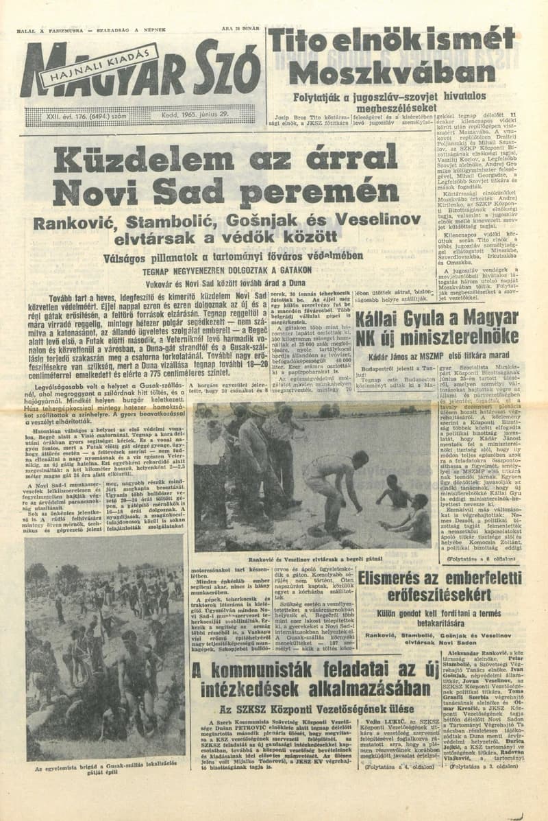 Magyar Szó, 22. évf. 1965. június 29. 176. sz. 1–14. oldal