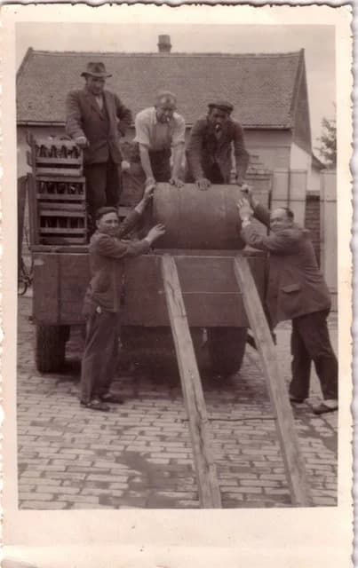 Sremag-kereskedés 9.