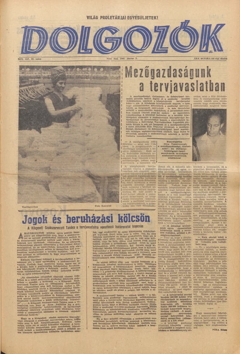 Dolgozók, 20. évf. 1966. június 3. 23. sz.