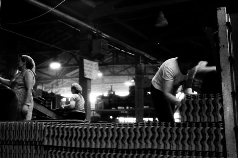 Torza Marković cserépgyár