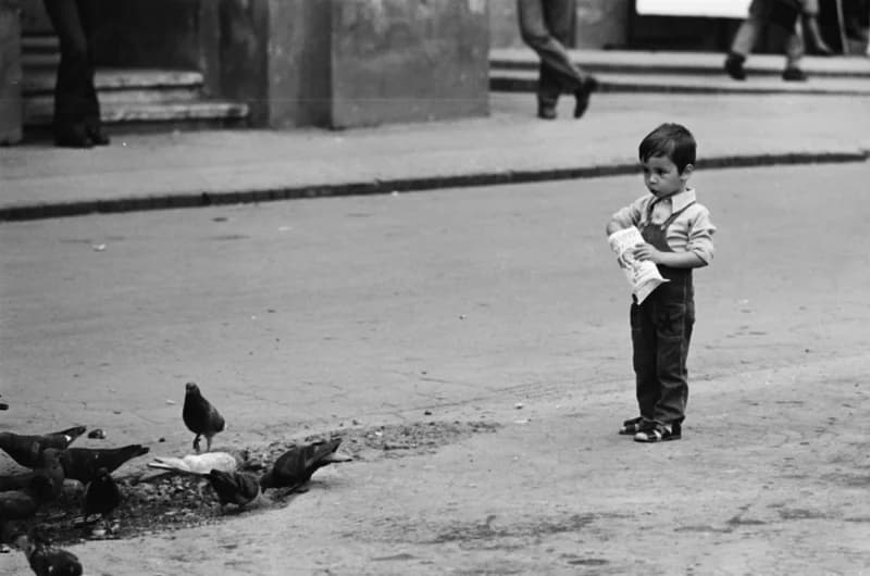 Gyerekek Újvidék utcáin