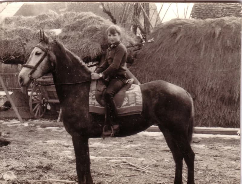 Telek József a lovon