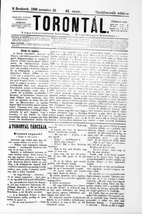 Torontál, 19. évf. 1890. november 23. 47. sz.