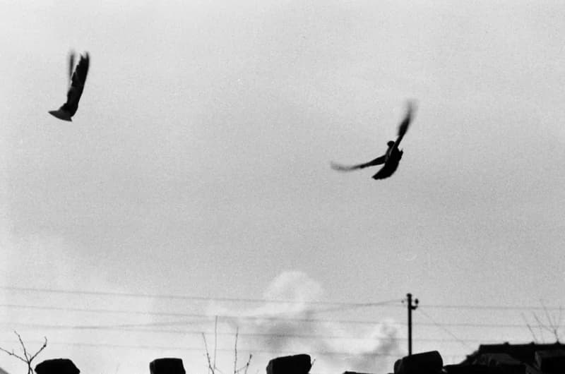 Település a Zorka gyárnál