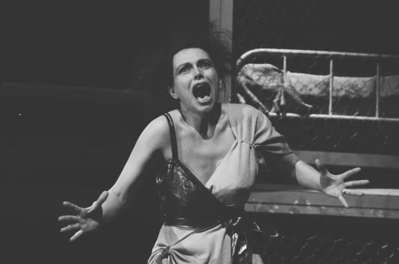 Tömöry Péter (r.), Tolnai Ottó: Paripacitrom 