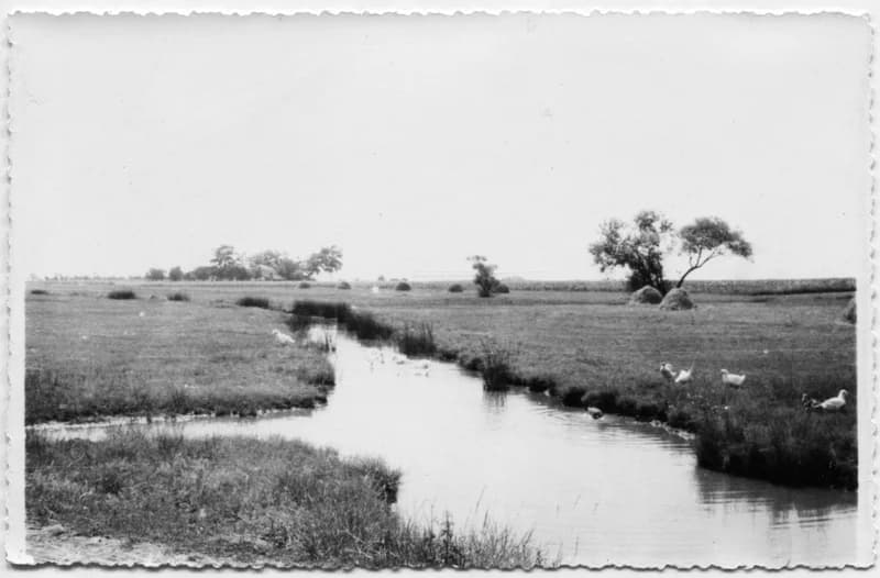 Táj a Bíróhizlalónál