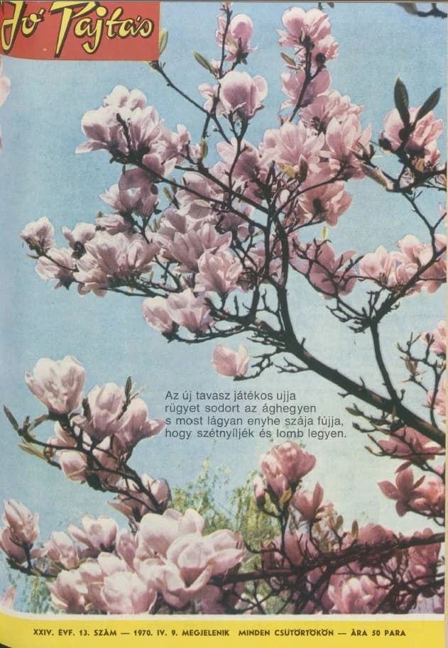 Jó Pajtás, 24. évf. 1970. április 16. 13. sz.