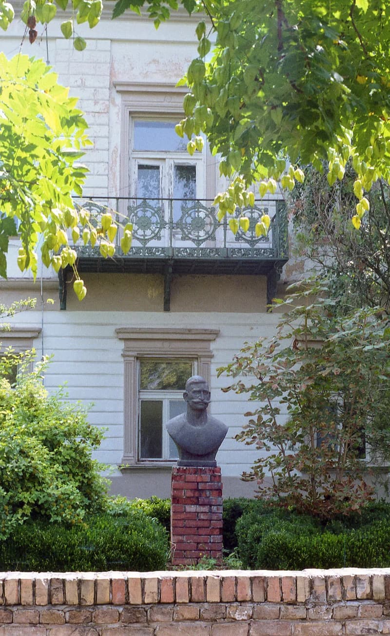 A temerini Szécsen-kastély (a fotó készítésének idejében Lukijan Mušicki Középiskola épülete) utcai része, 1997. augusztus 4-én