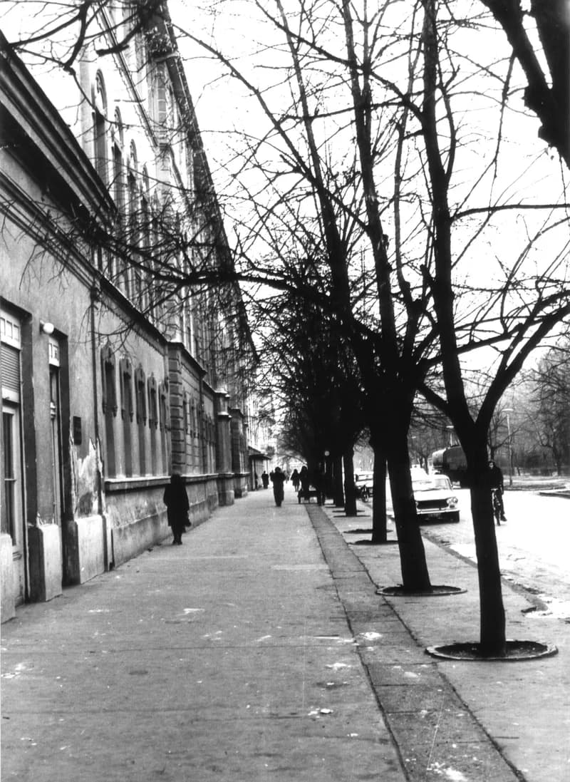 A zentai főtér és főutca