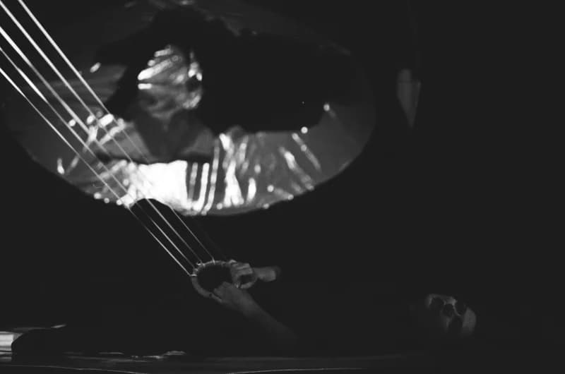 Tolnai: Izéke homokozója, Bayer II.