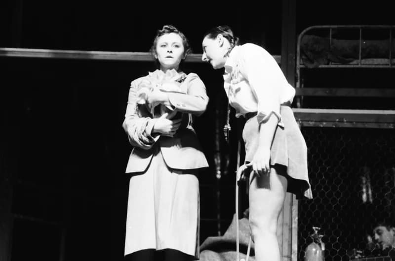 Tömöry Péter (r.), Tolnai Ottó: Paripacitrom 