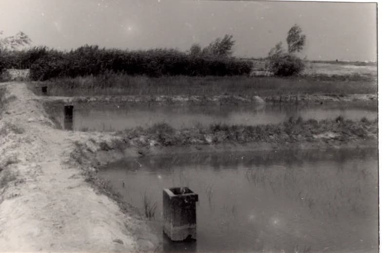 Az écskai halgazdaság - ívóhely