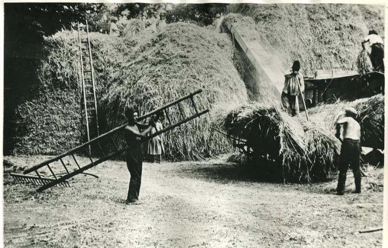 Cséplés az Ökrész tanyán