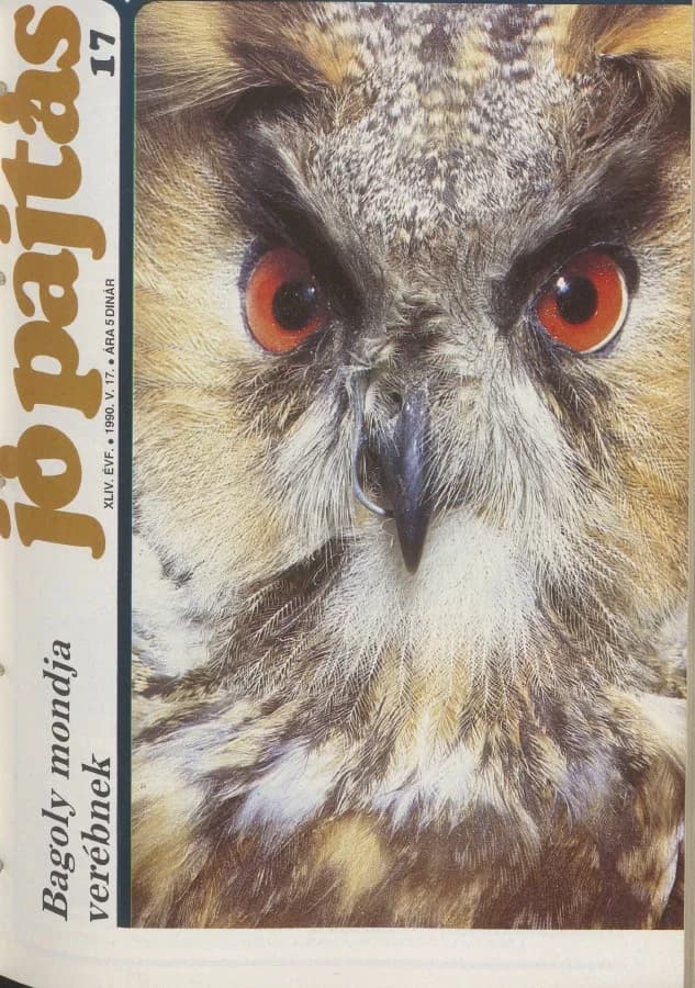 Jó Pajtás, 44. évf. 1990. május 17. 17. sz.