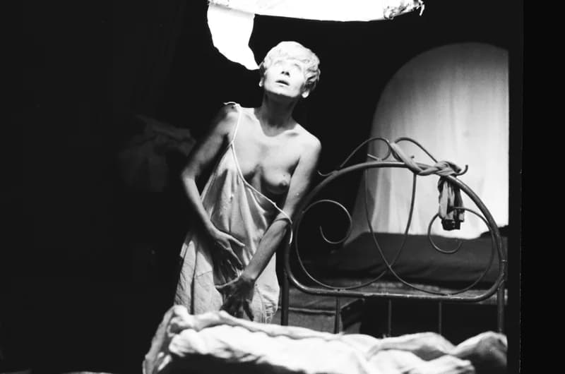 Tolnai: Izéke homokozója, Bayer II.