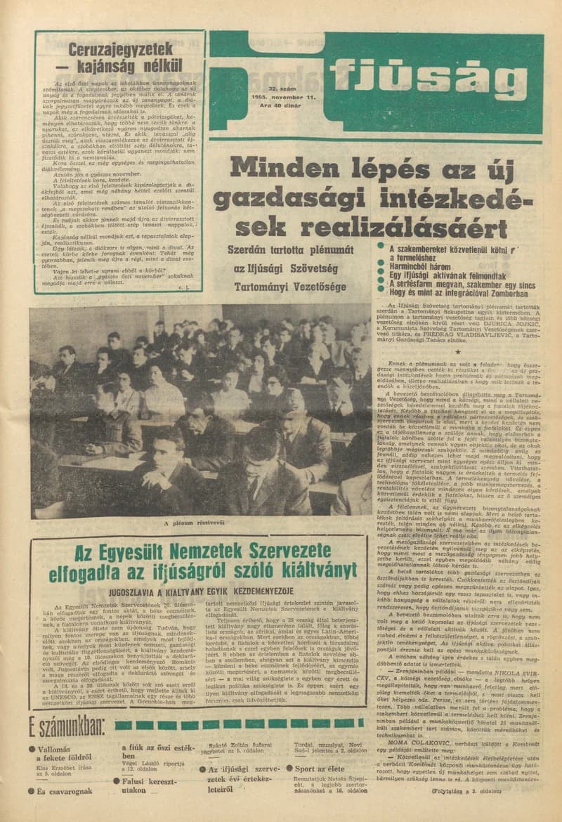 Ifjúság, 21. évf. 1965. november 11. 32. sz.