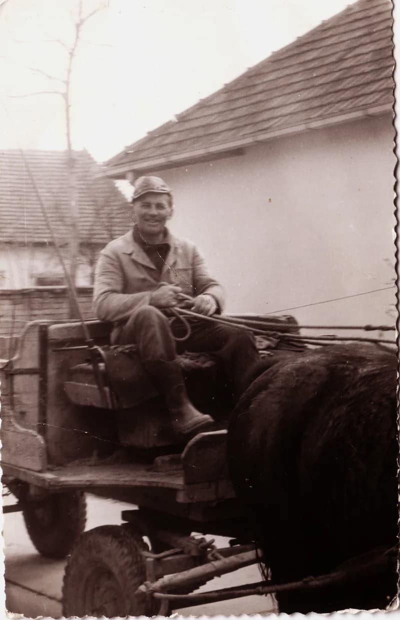 Márki József lovaskocsin