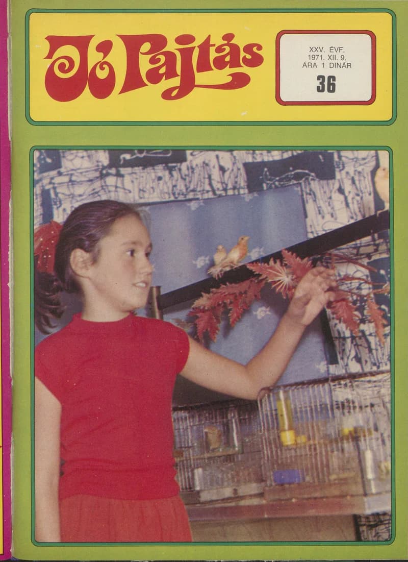 Jó Pajtás, 25. évf. 1971. december 9. 36. sz.