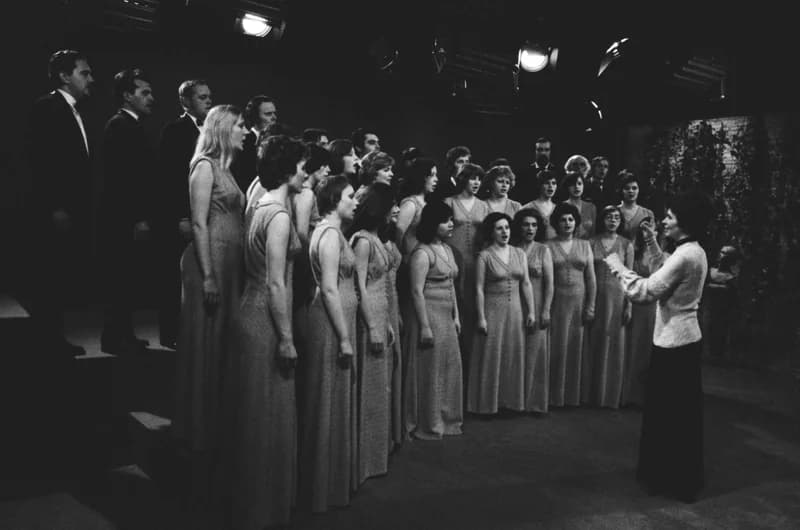 Pro Musica az újvidéki tévében