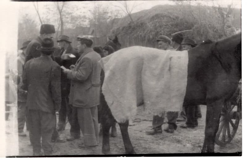 Zentai vásár - lókupecok