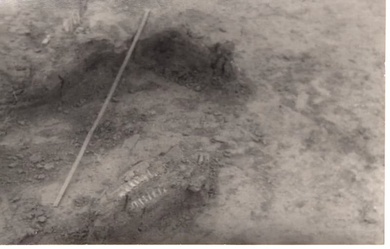 Ásatás az adai Petőfi téglagyárnál